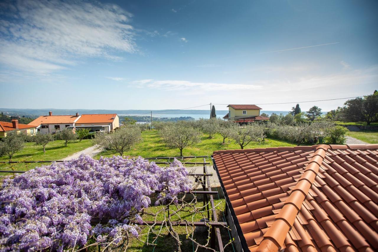 Apartments And Rooms Jeselnik Πορτορόζ Εξωτερικό φωτογραφία