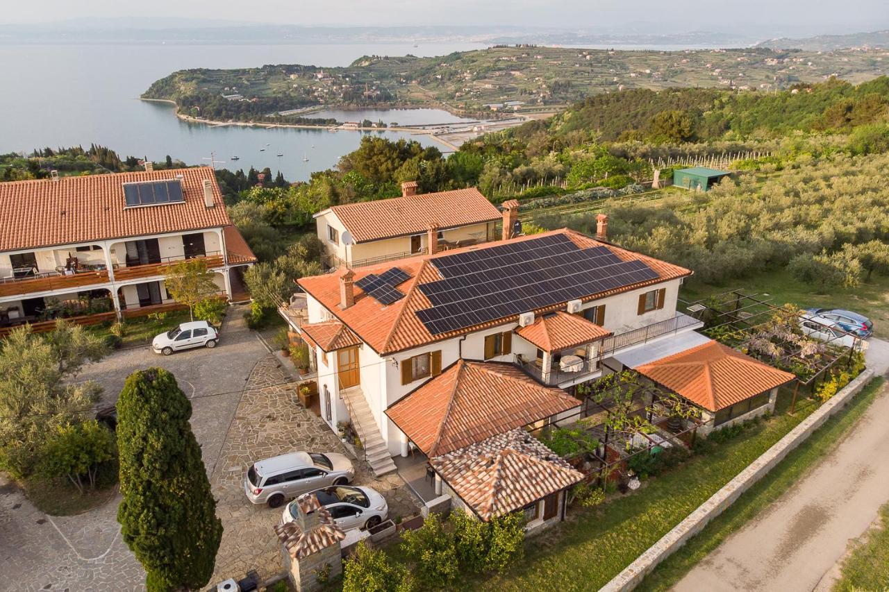Apartments And Rooms Jeselnik Πορτορόζ Εξωτερικό φωτογραφία